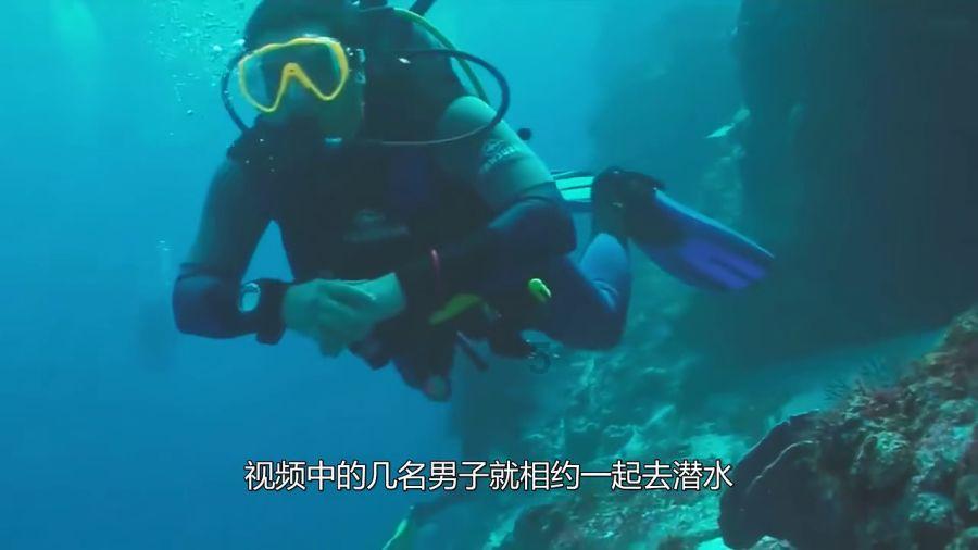 篮球全明星赛2